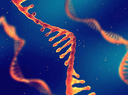 Symbolbild RNA-Protein