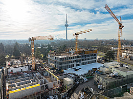 Baustelle Stand 25.01.2026