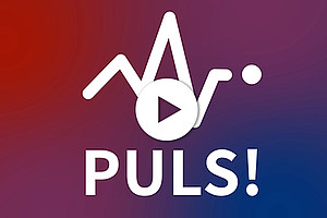 Thumbnail Video Puls! Studie