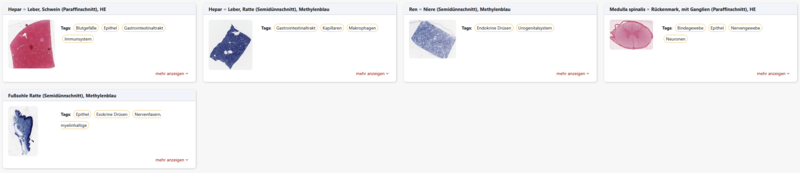 Ansicht durch das Moodle-Plugin