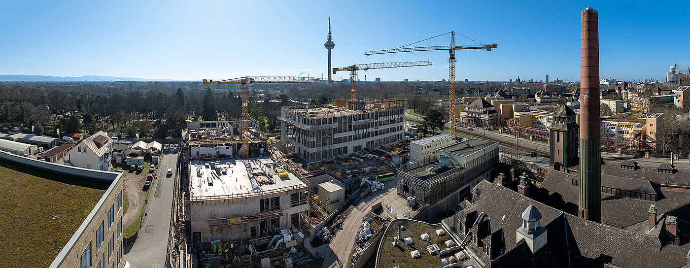 Foto Baustelle März 2026