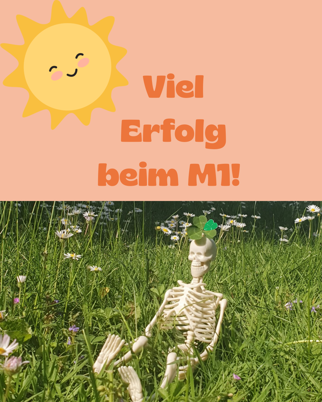 kleines Skelet mit vierblättrigem Kleeblatt