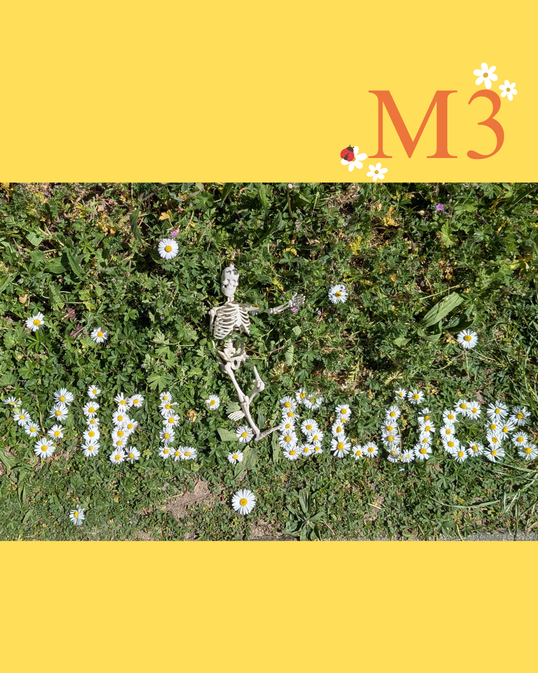 Skelett sitzt im Gras, darunter aus Gänseblümchen gelegter Schriftzug „Viel Glück“.